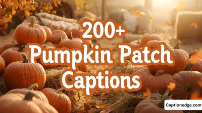 200+ Pumpkin Patch Captions