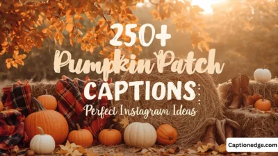 250+ Pumpkin Patch Captions Perfect Instagram Ideas