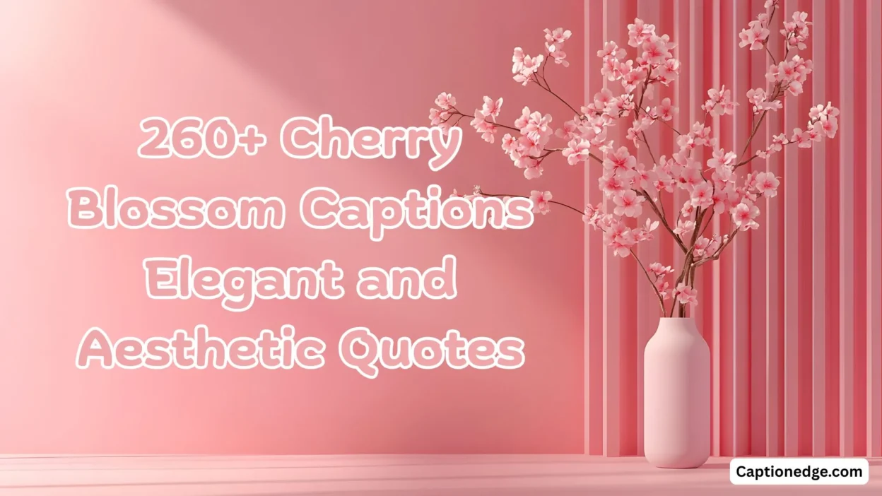 260+ Cherry Blossom Captions Elegant and Aesthetic Quotes
