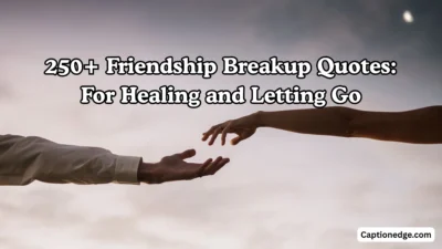 250+ Friendship Breakup Quotes For Healing and Letting Go
