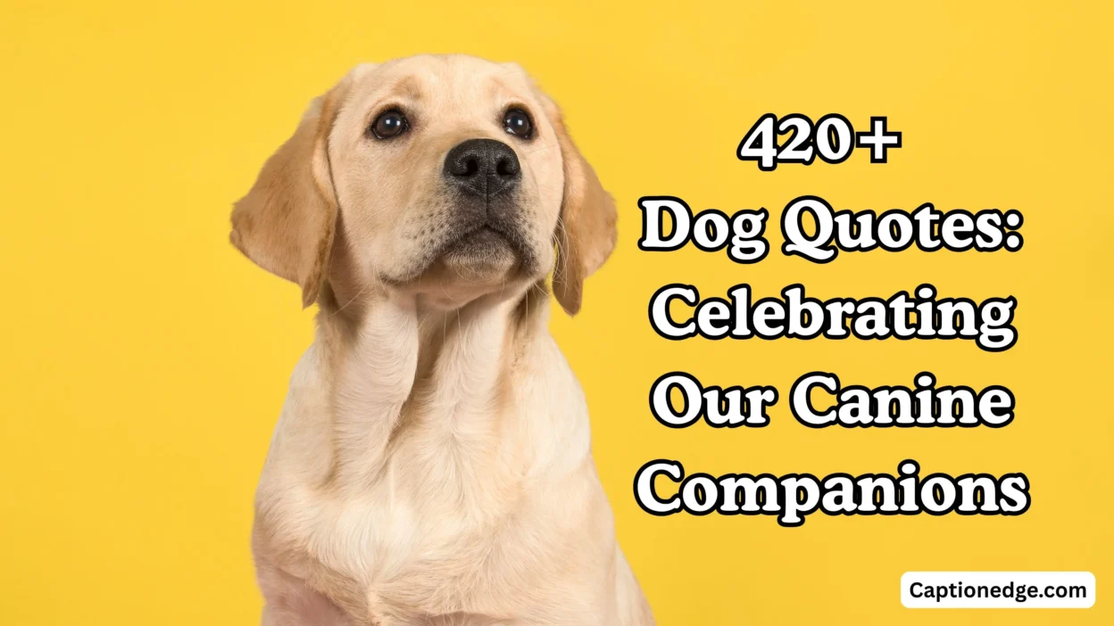 420+ Dog Quotes Celebrating Our Canine Companions